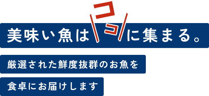 最適なロジスティクスを創出・ご提案