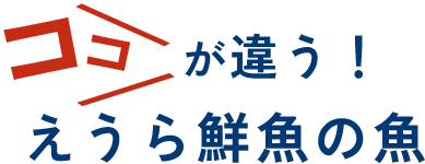 ココが違う！えうら鮮魚の魚